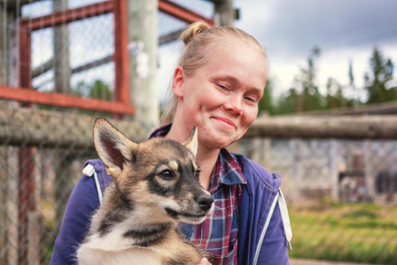 Harriniva Adventure Resort Cabins Муонио Екстериор снимка